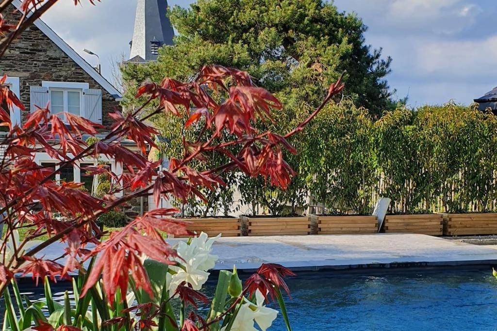 Pine Cottage- 5 Minutes Francorchamps - Charme -Piscine-Calme-Jardin Sart  외부 사진